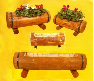 vasi tronco legno scavato