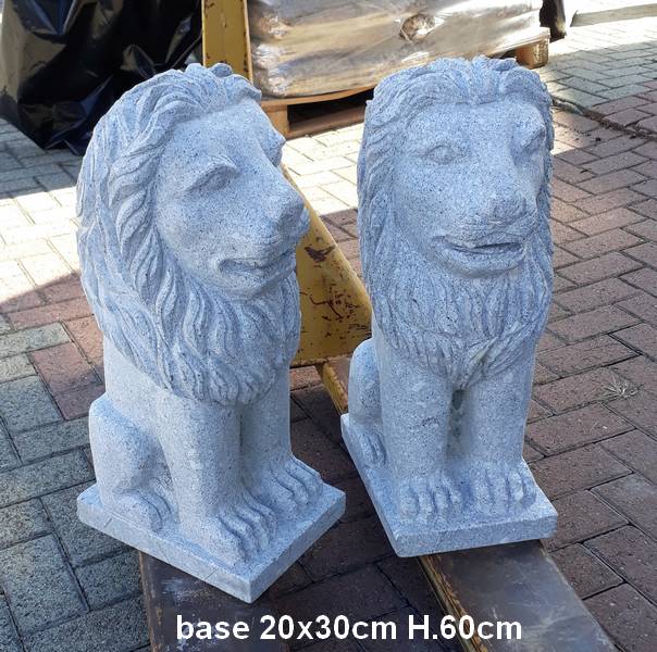 leoni in pietra